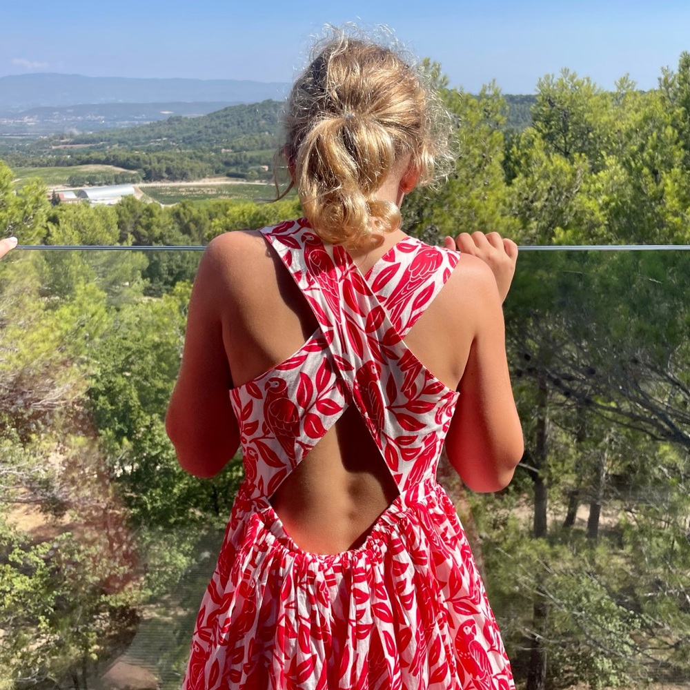 Mini Boden Parakeet Floral Dress